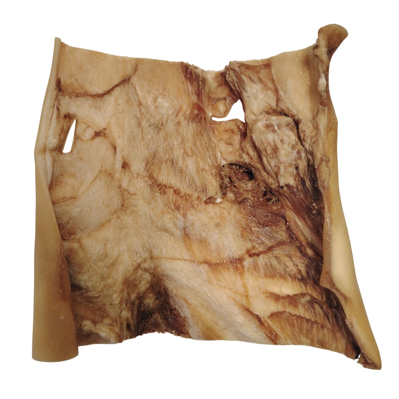 Plaque de Peau de Tête de Bœuf 20x20cm