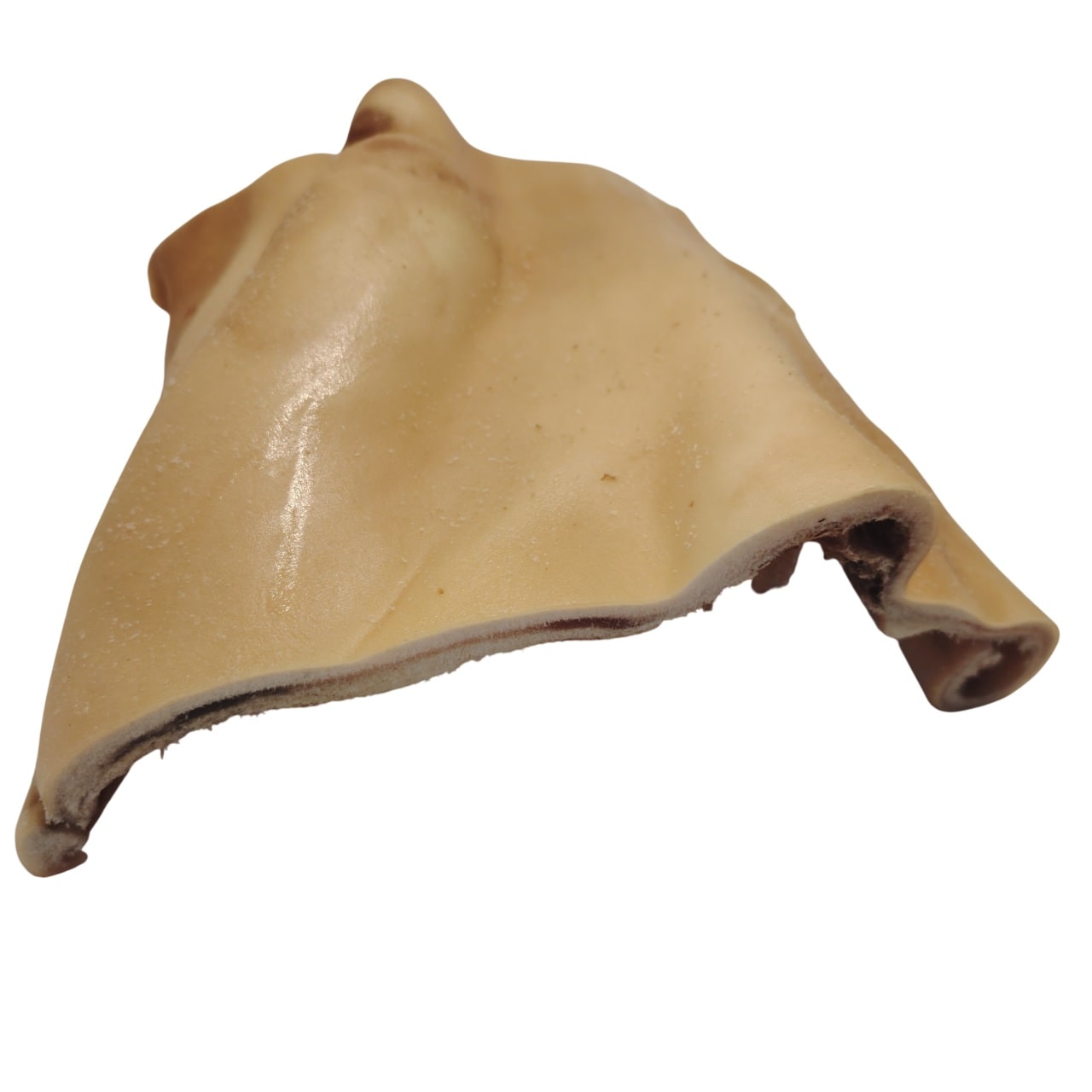 Plaque de Peau de Tête de Bœuf 20x20cm