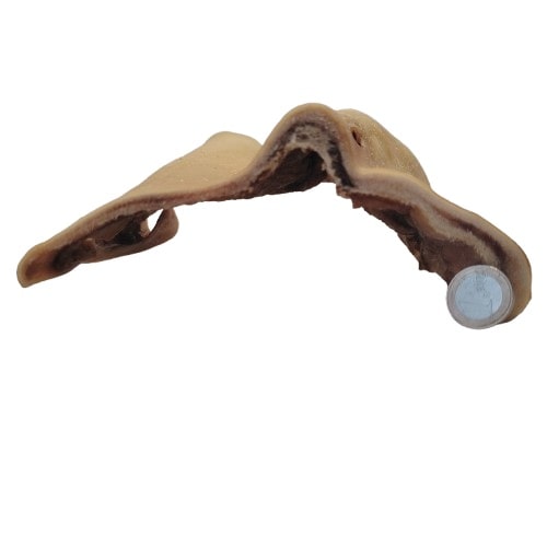 Plaque de Peau de Tête de Bœuf 20x20cm