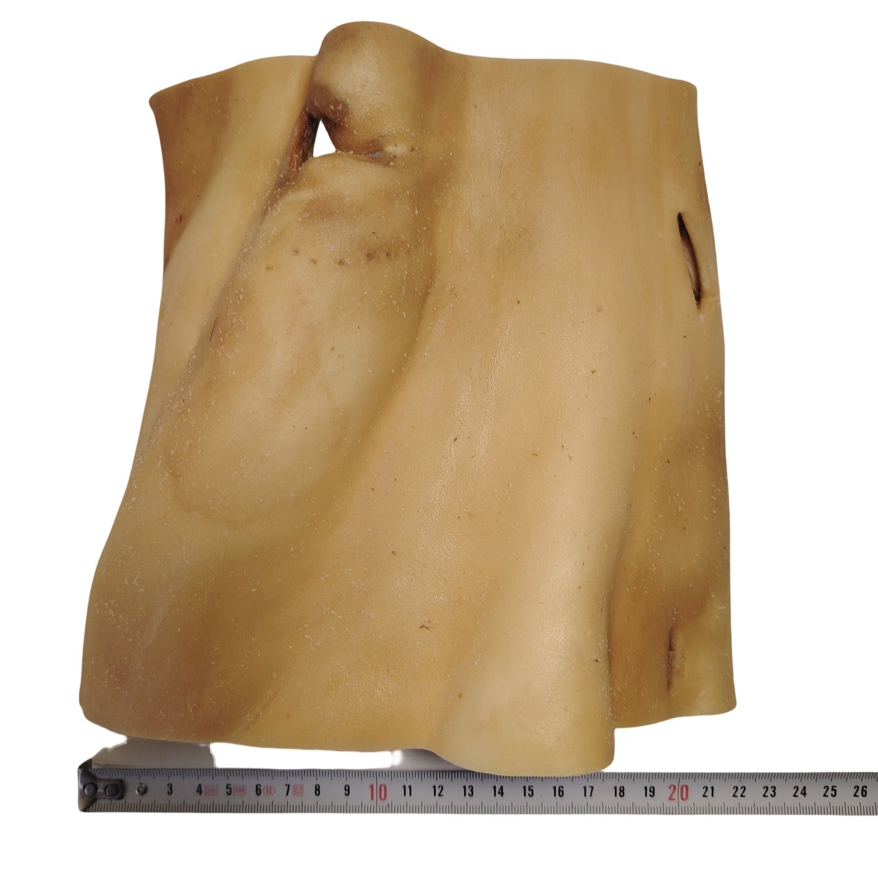 Plaque de Peau de Tête de Bœuf 20x20cm