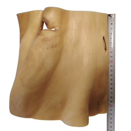 Plaque de Peau de Tête de Bœuf 20x20cm