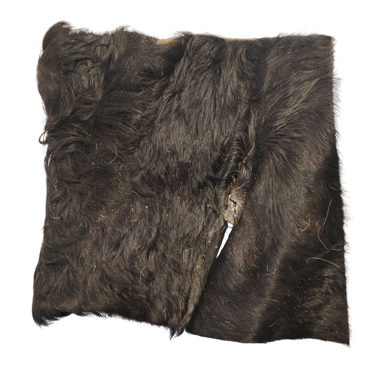 Plaque de Peau de Tête de Bœuf Poilue 20x20cm