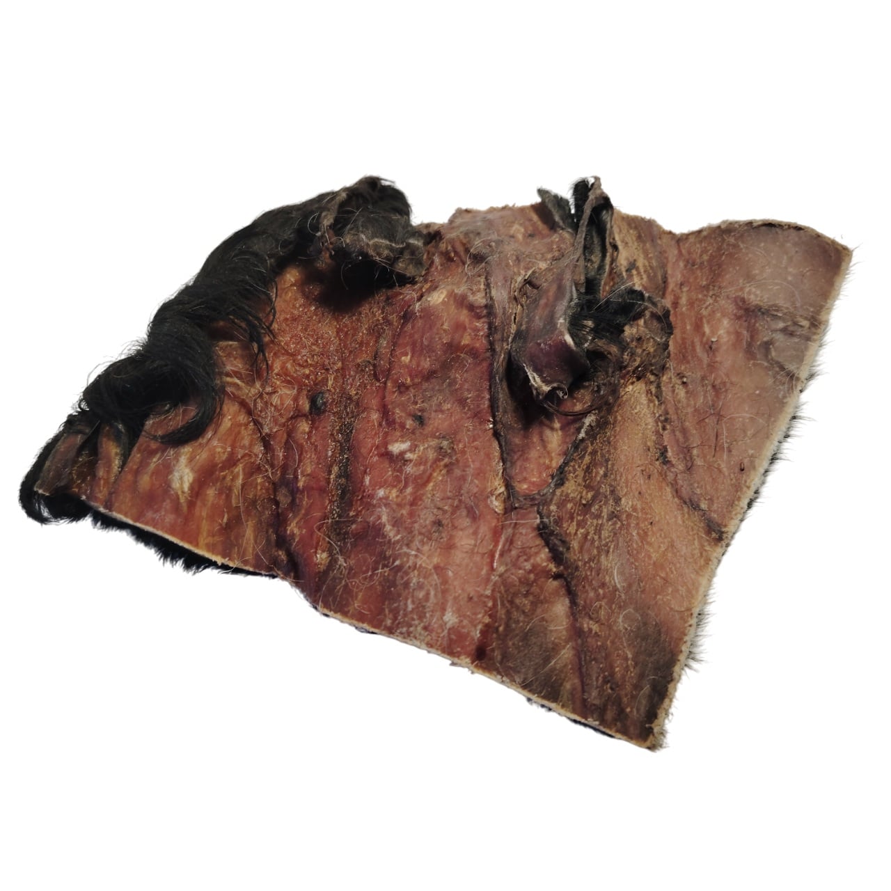 Plaque de Peau de Tête de Bœuf Poilue 20x20cm