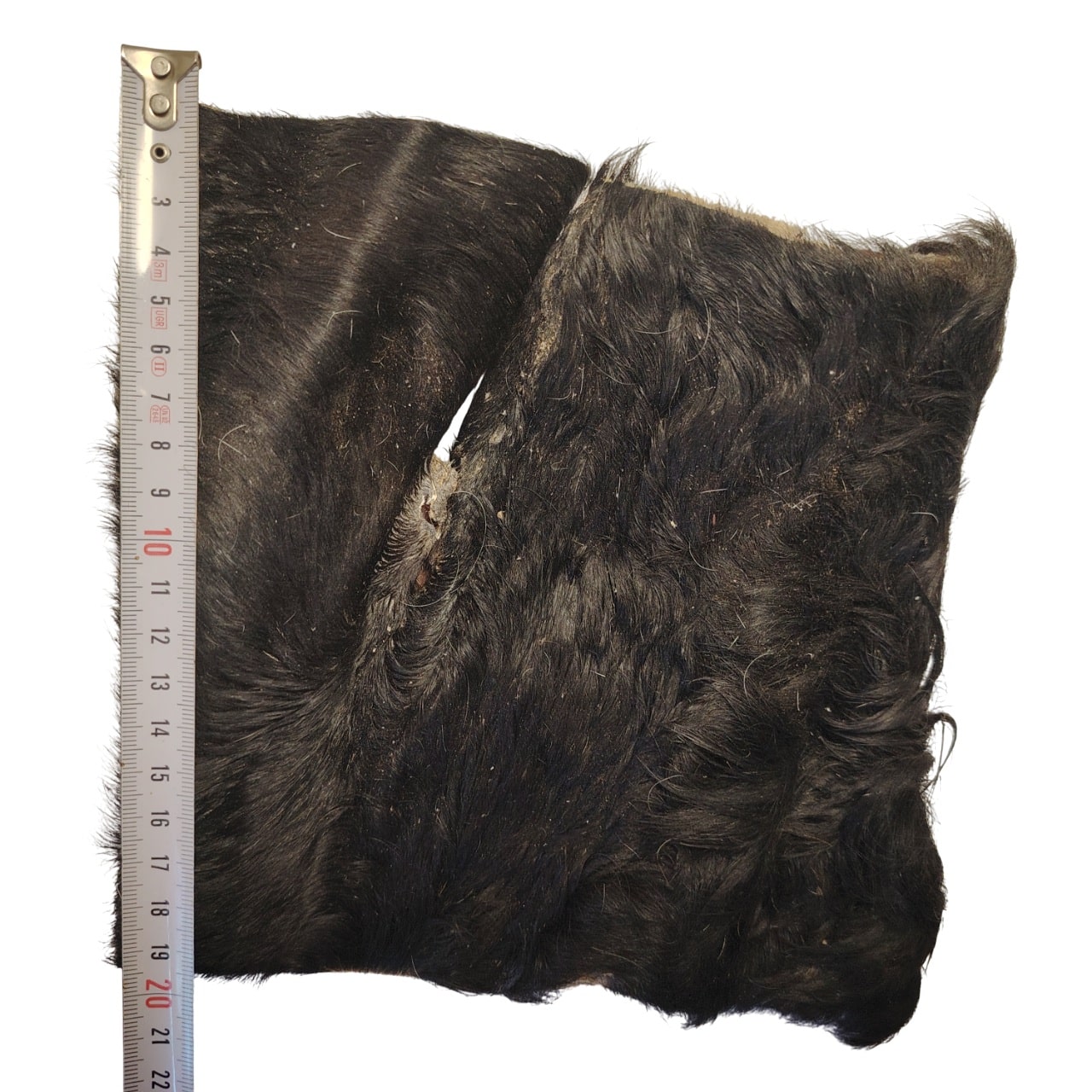 Plaque de Peau de Tête de Bœuf Poilue 20x20cm