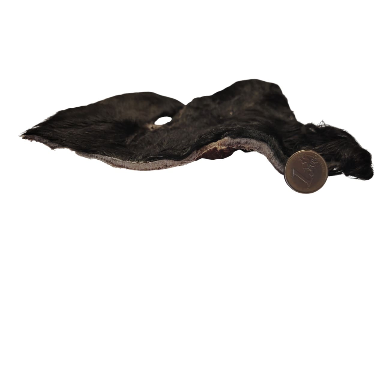 Plaque de Peau de Tête de Bœuf Poilue 20x20cm