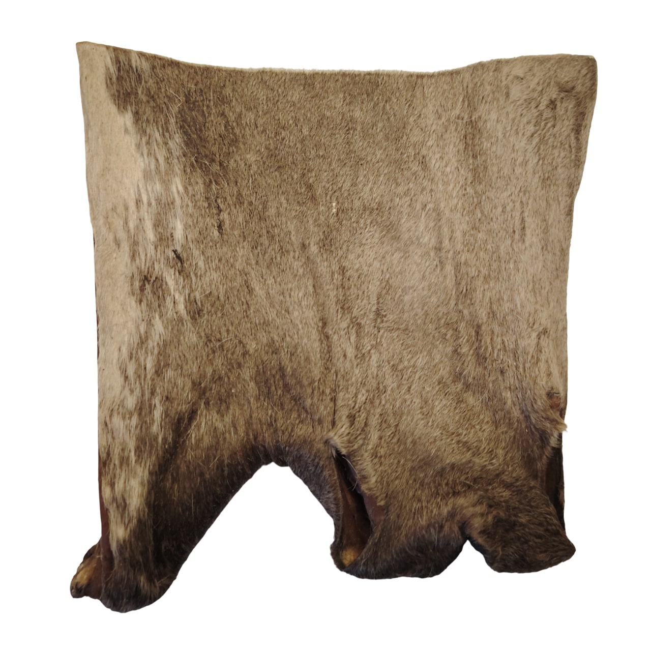 Plaque de Peau de Tête de Bœuf Poilue 20x20cm