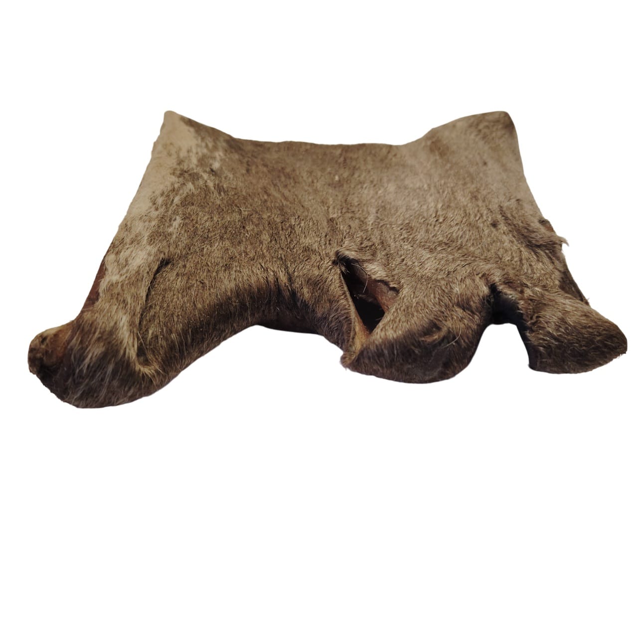 Plaque de Peau de Tête de Bœuf Poilue 20x20cm