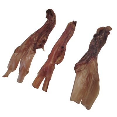 Tendon d'Achille de Bœuf