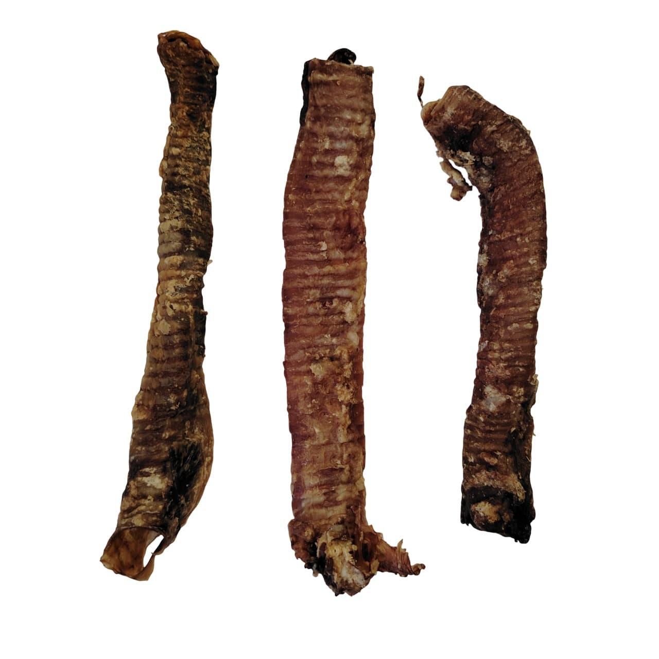 Trachée de Chèvre Trachée de Chèvre