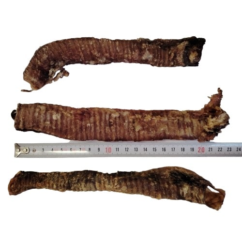 Trachée de Chèvre Trachée de Chèvre