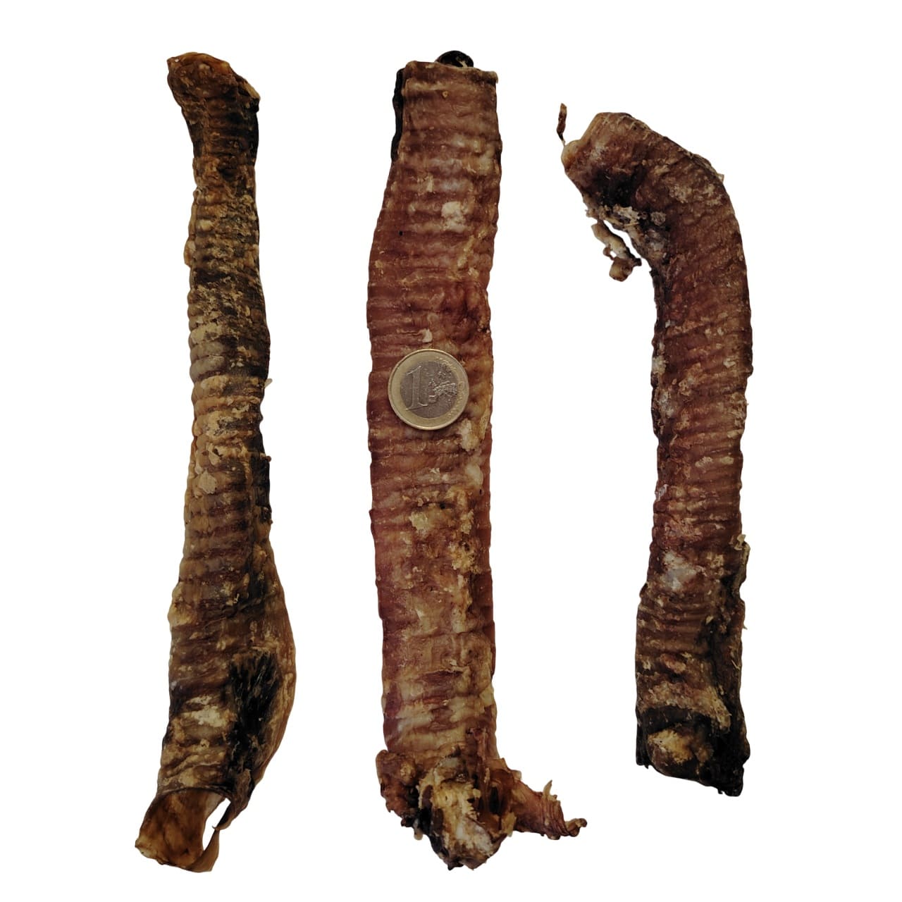 Trachée de Chèvre Trachée de Chèvre