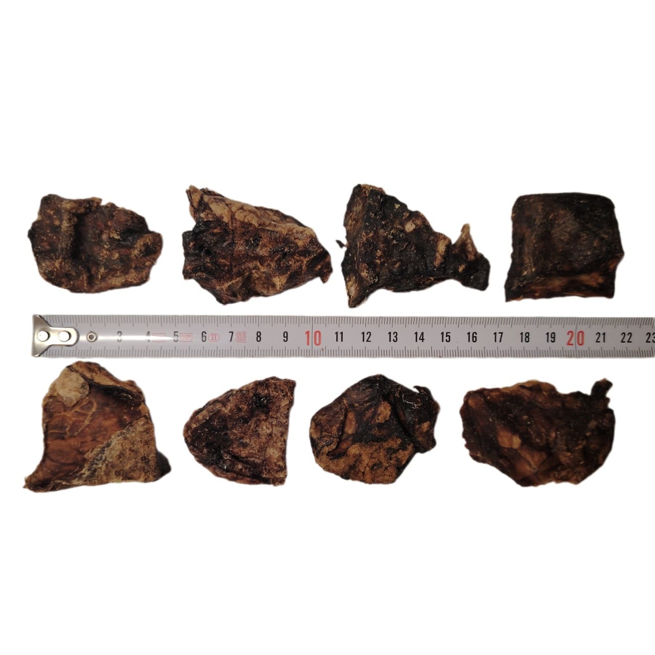 Poumon de Chèvre Plat