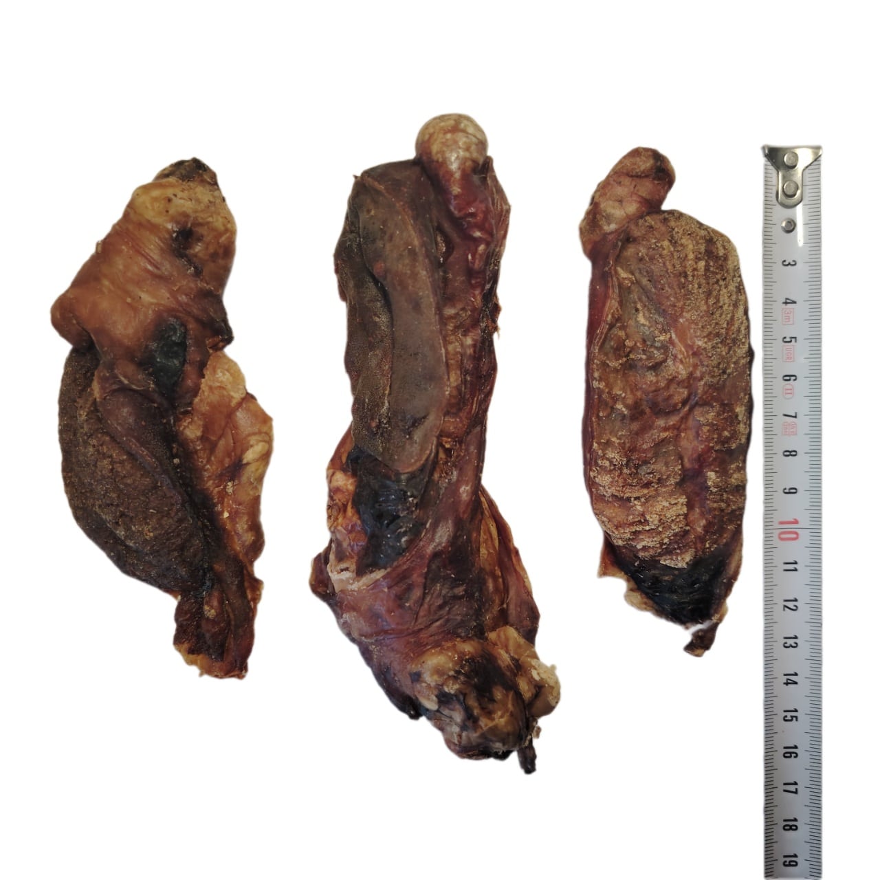 Testicule d'Agneau Testicule d'Agneau