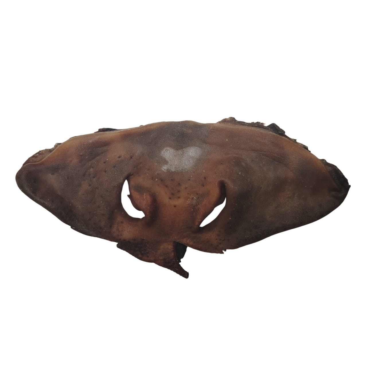 Museau de Bœuf Naturel