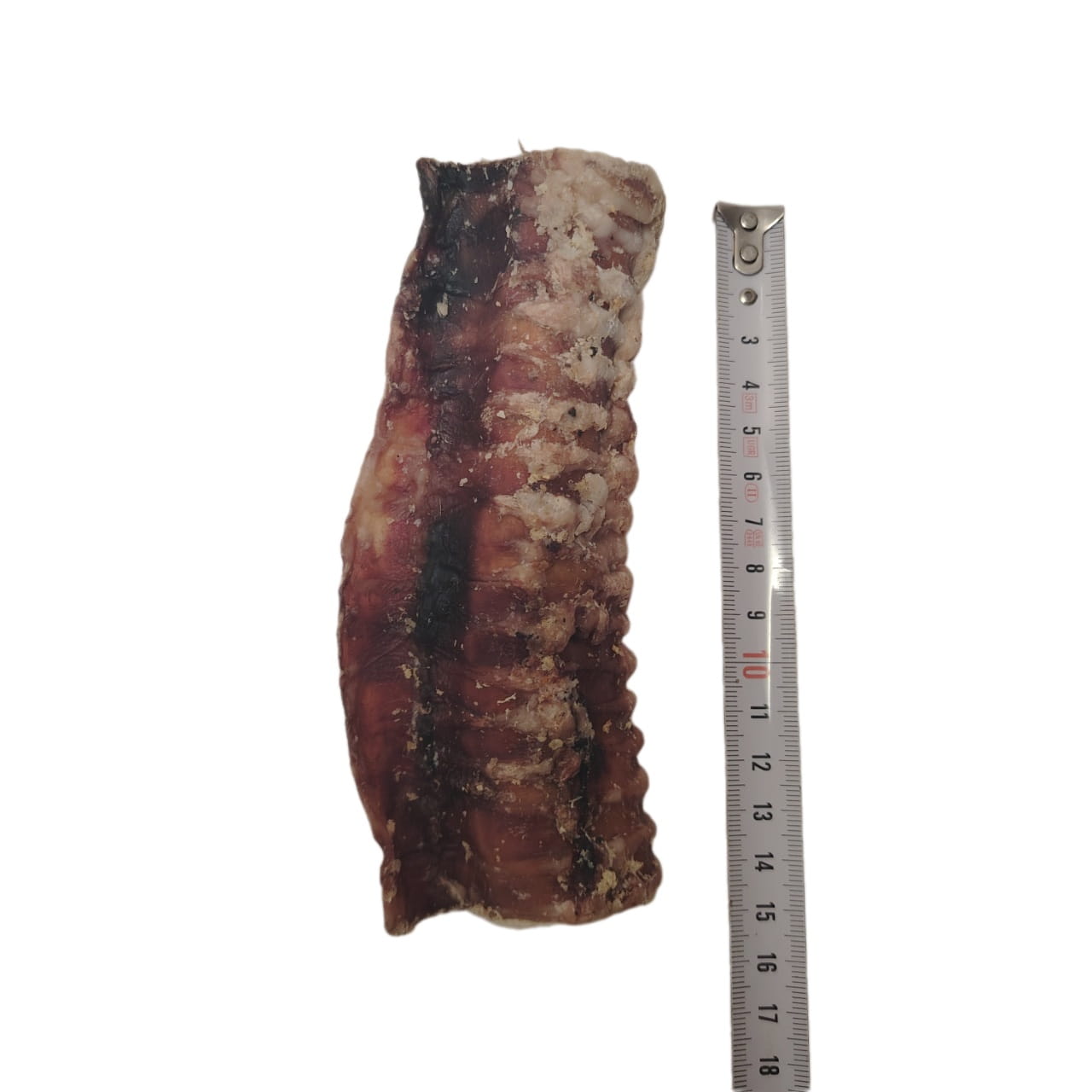 Trachée de Bœuf Farcie 15cm