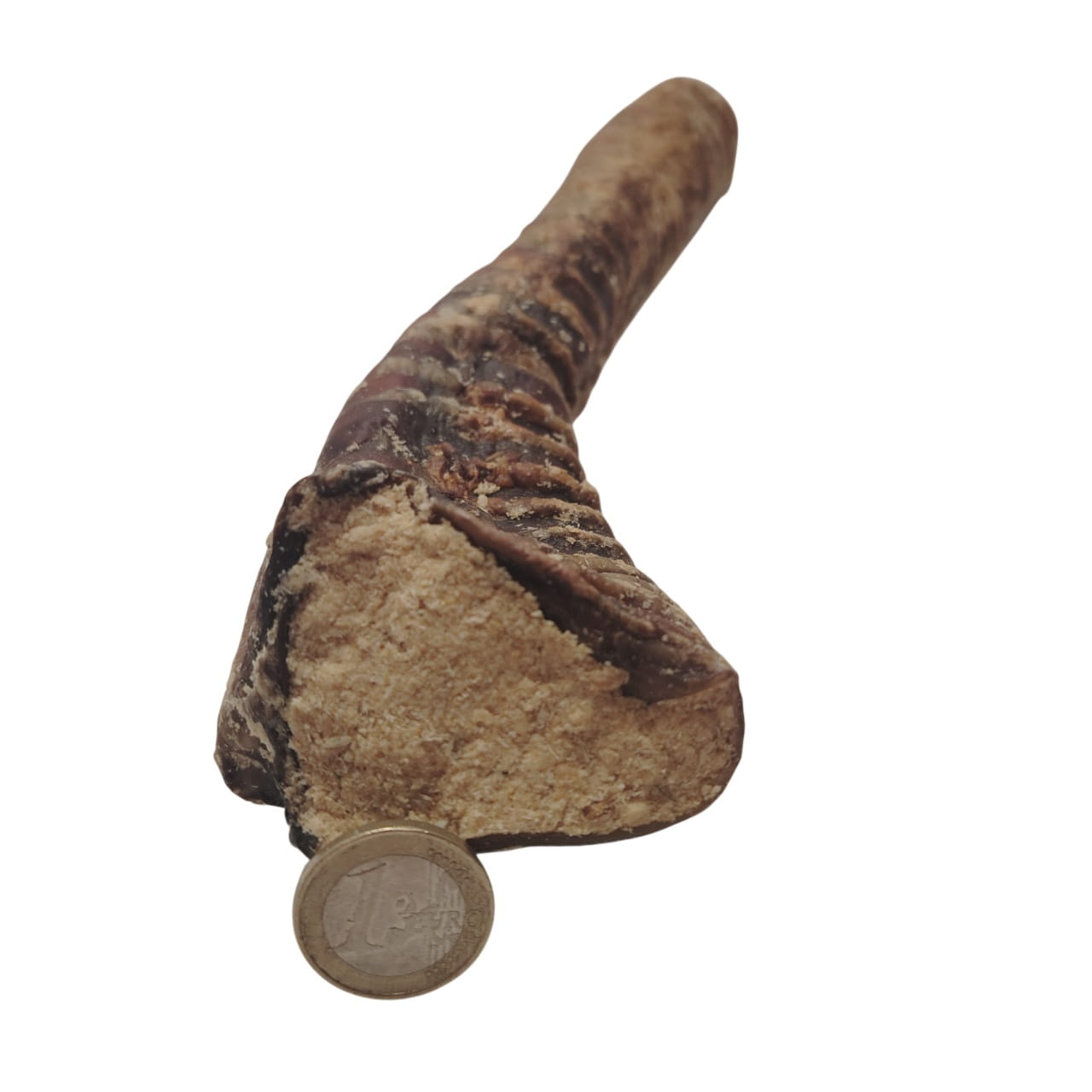 Trachée de Bœuf Farcie 30cm