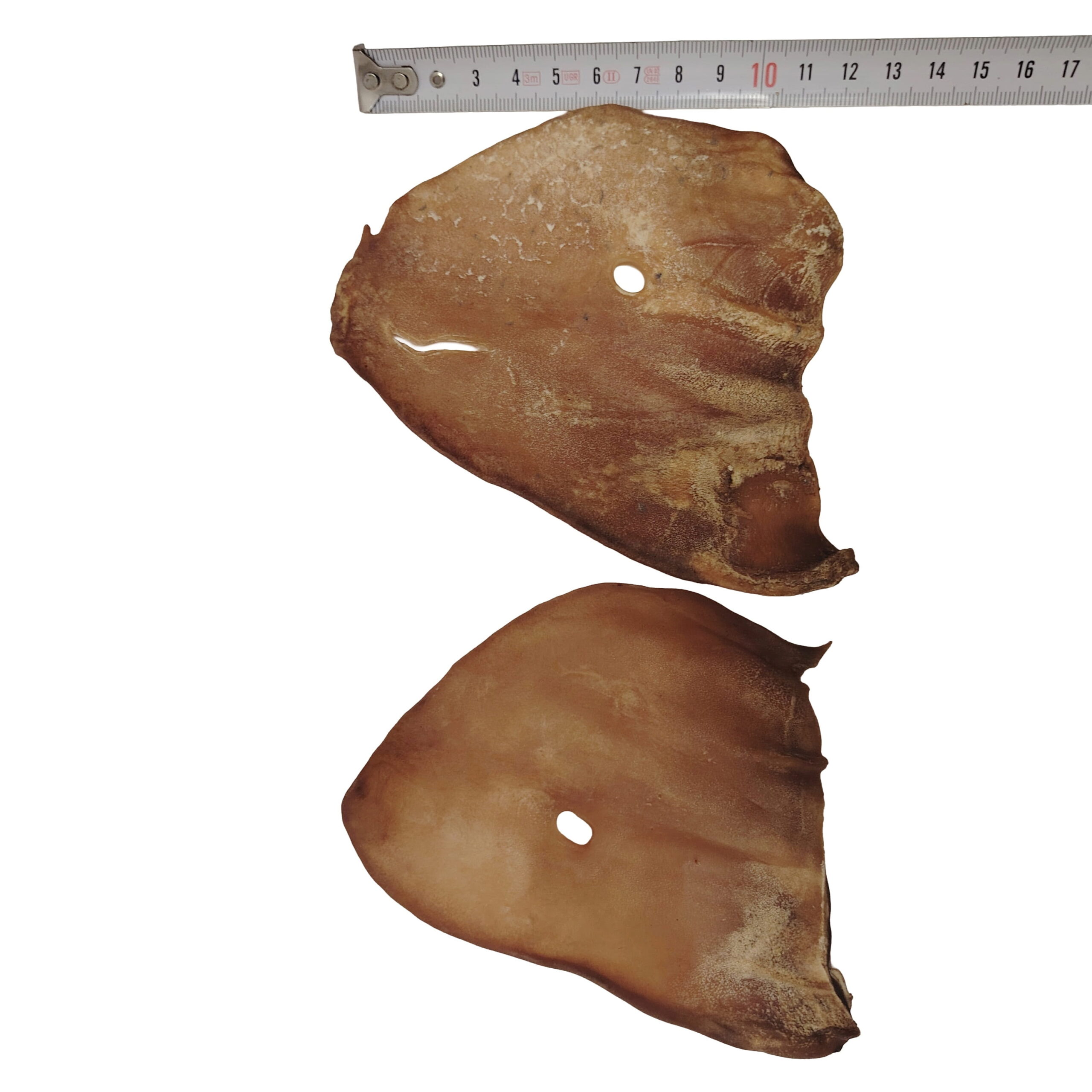 Oreilles de Bœuf Plate