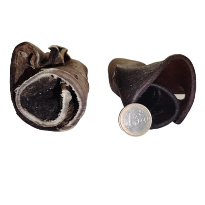 Peau de Chameau Roulée 30cm