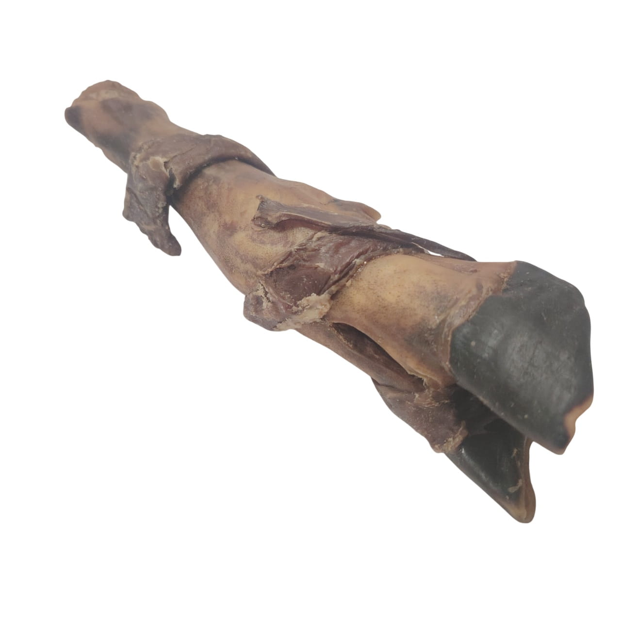 Pied d'Agneau avec Œsophage