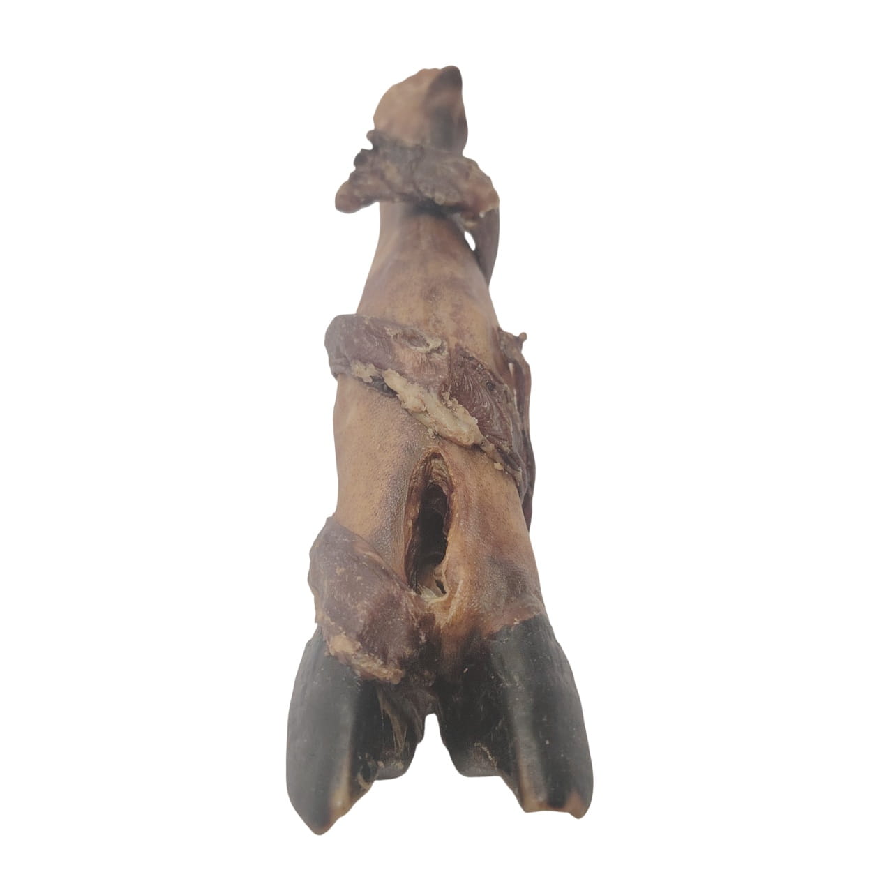 Pied d'Agneau avec Œsophage