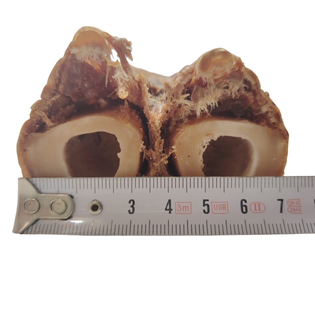 Pied de Bœuf sans sabot