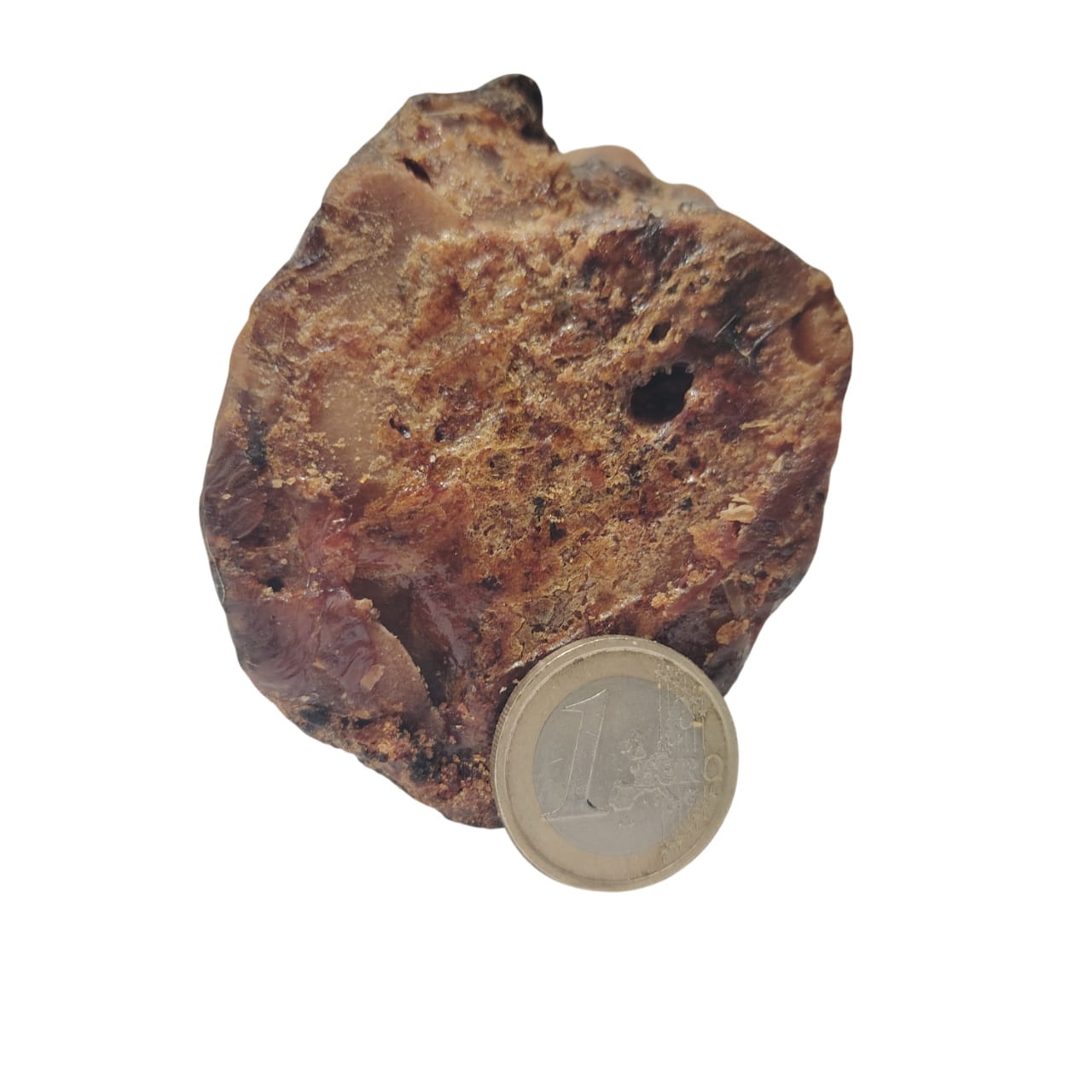 Pied de Bœuf sans sabot