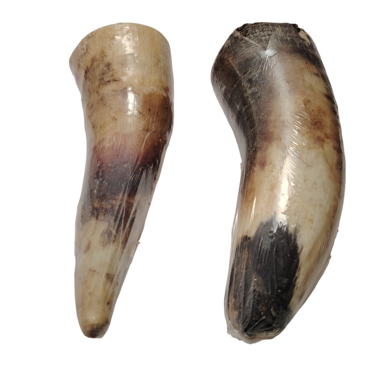 Corne de Bœuf Farci Corne de Bœuf Farci