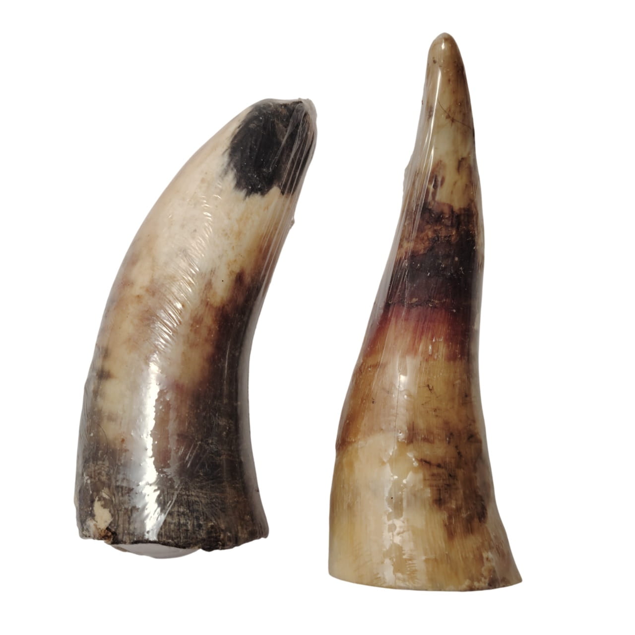 Corne de Bœuf Farci Corne de Bœuf Farci