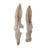 Oreilles de Lapin Poilues