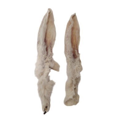 Oreilles de Lapin Poilues