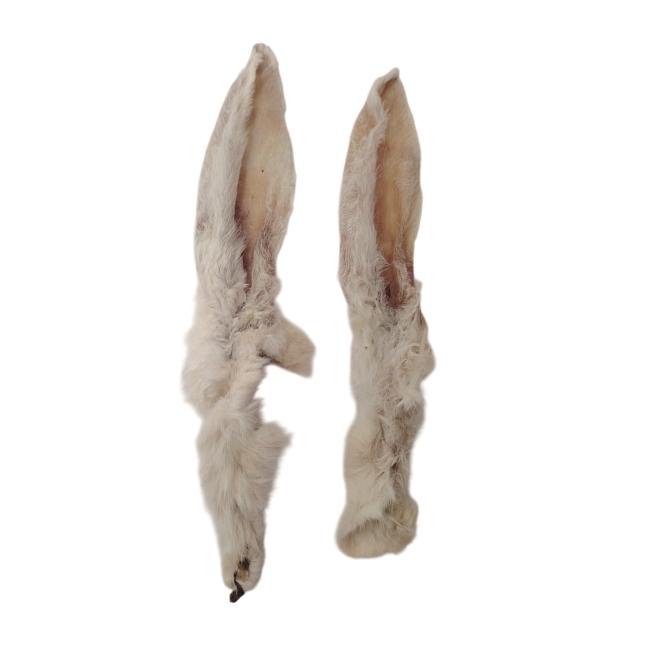 Oreilles de Lapin Poilues