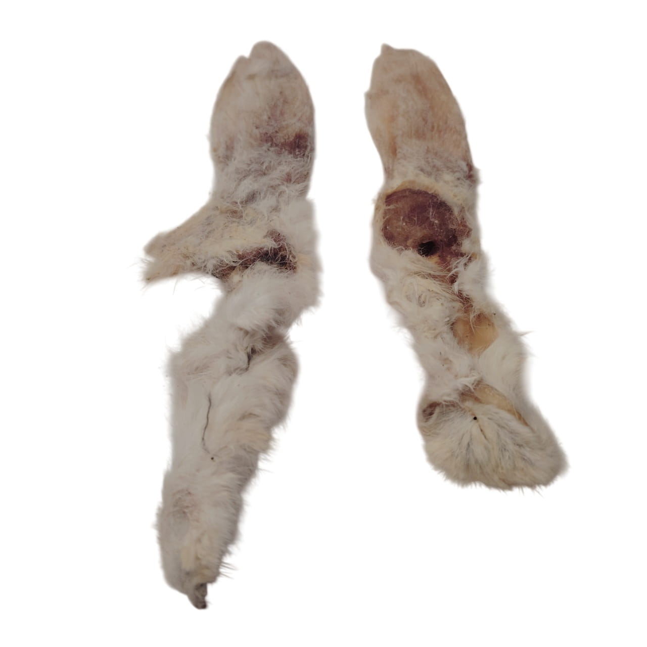 Oreilles de Lapin Poilues