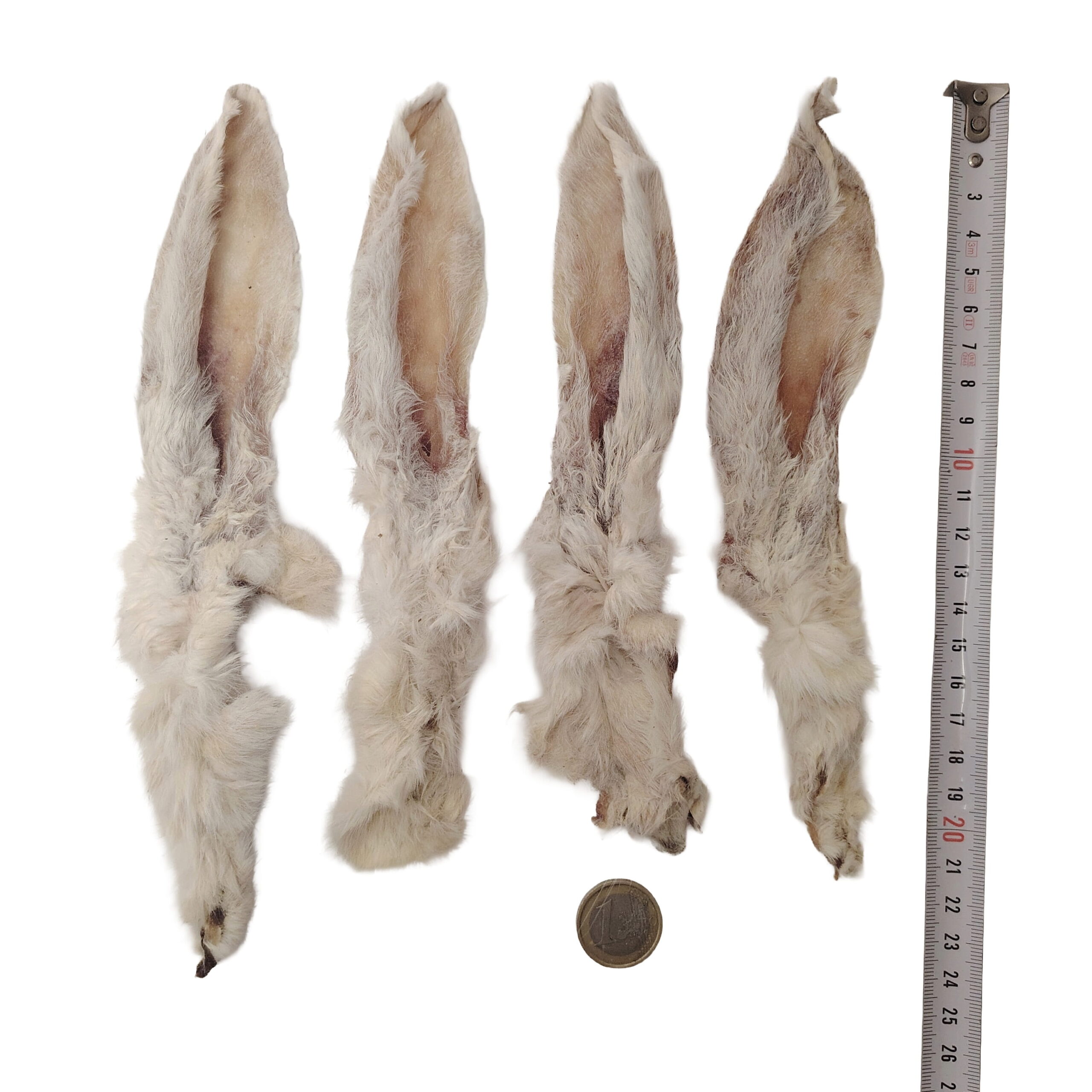 Oreilles de Lapin Poilues