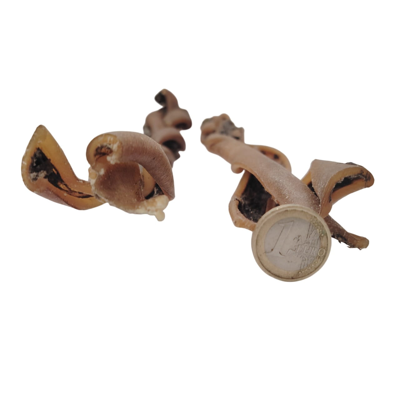 Peau de Chameau Tressée 30cm