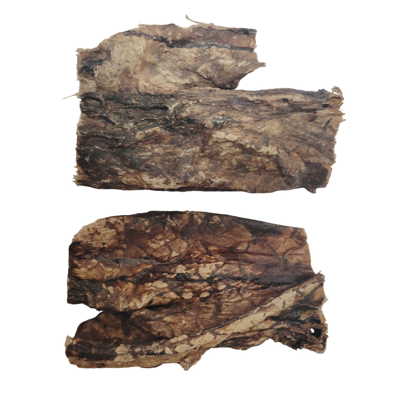 Poumon de Buffle 15cm