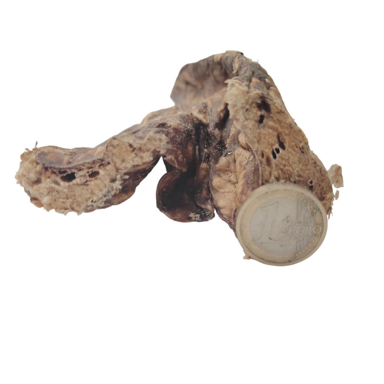 Poumon de Buffle 15cm