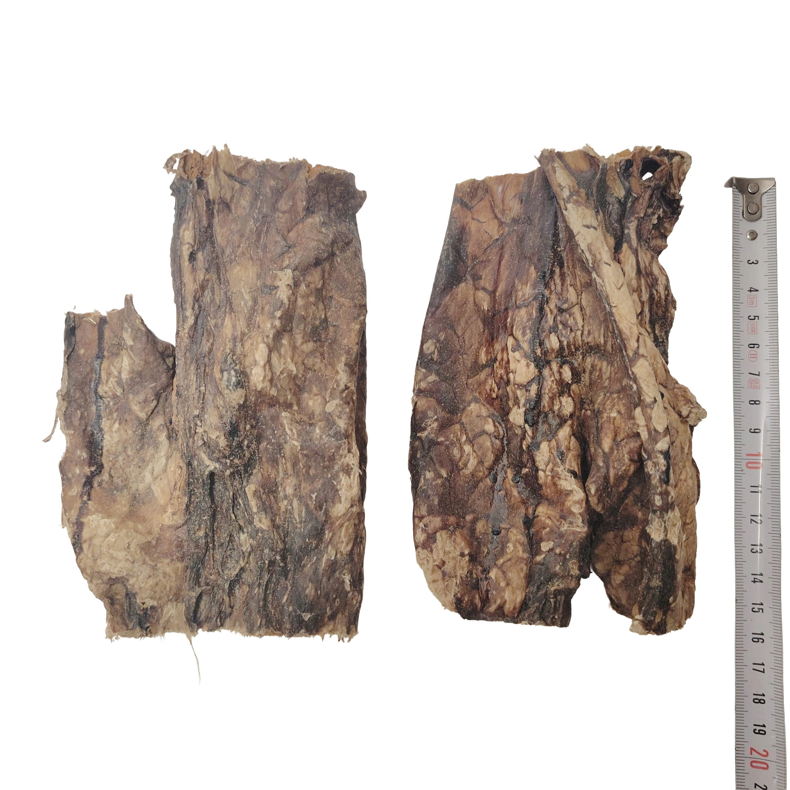 Poumon de Buffle 15cm