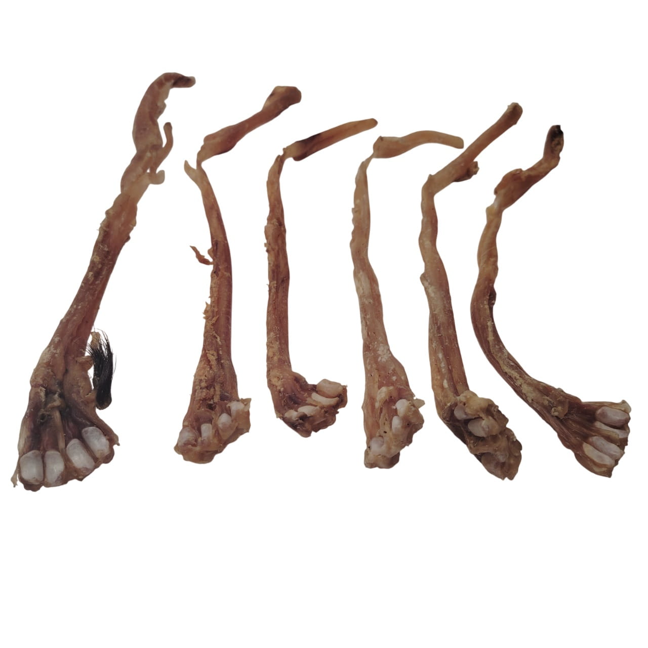 Tendon d'Achille d'Agneau Tendon d'Achille d'Agneau