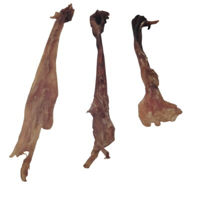 Tendon d'Achille de Buffle