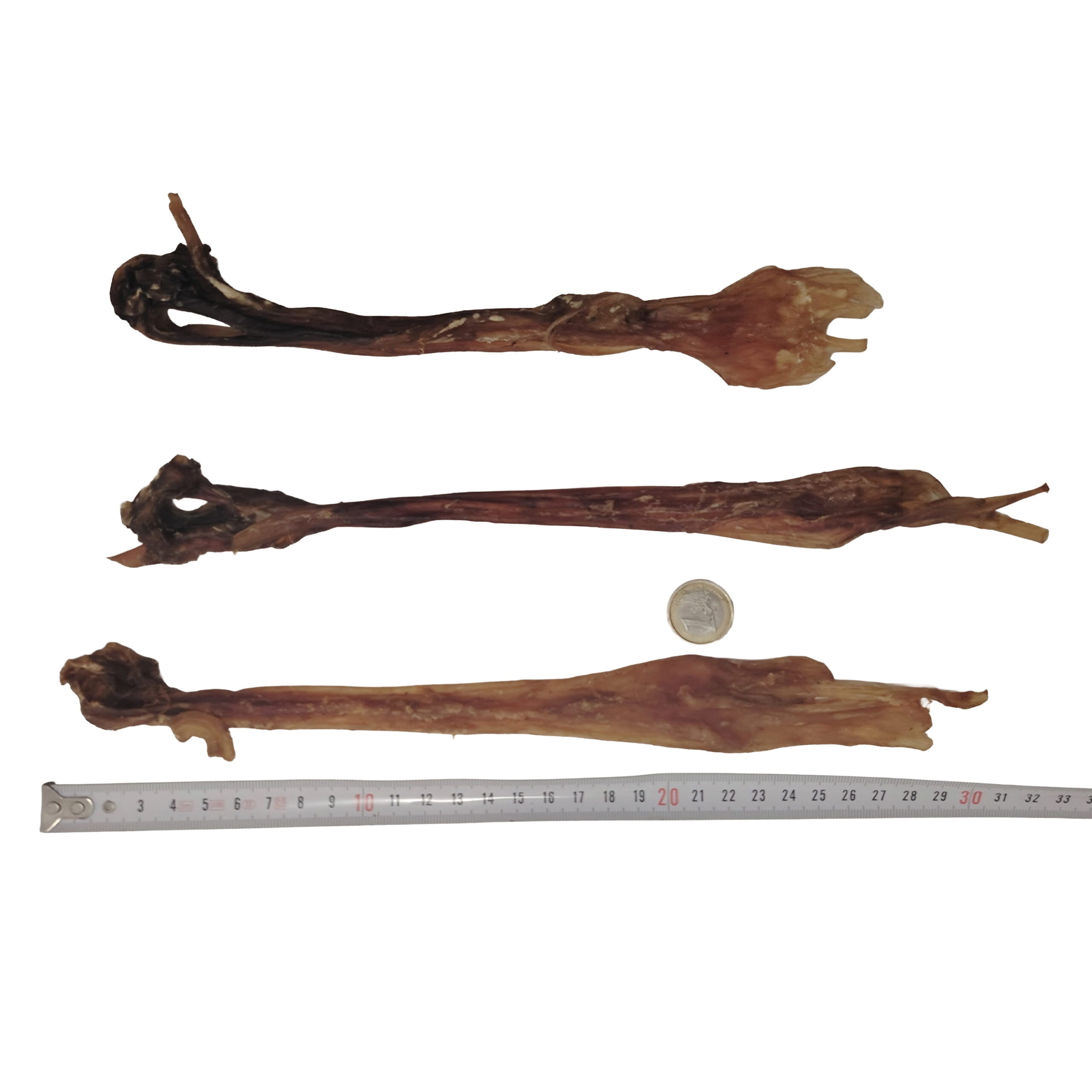 Tendon d'Achille de Buffle