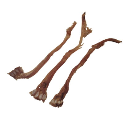 Tendon d'Achille de Chèvre