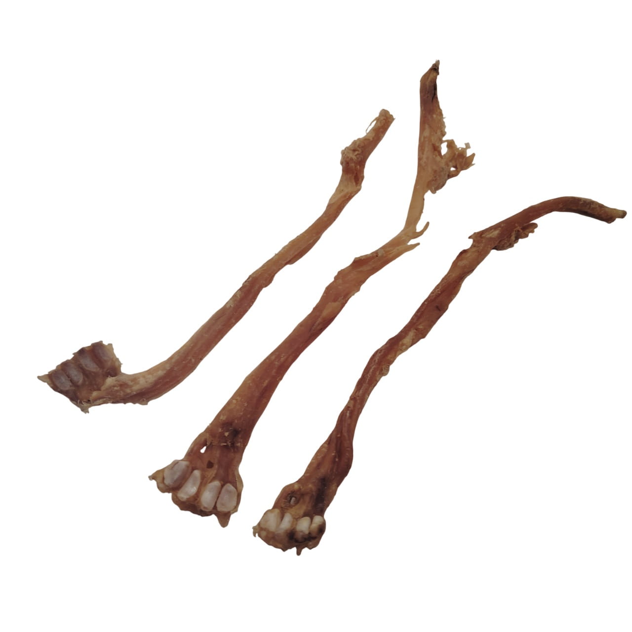 Tendon d'Achille de Chèvre Tendon d'Achille de Chèvre