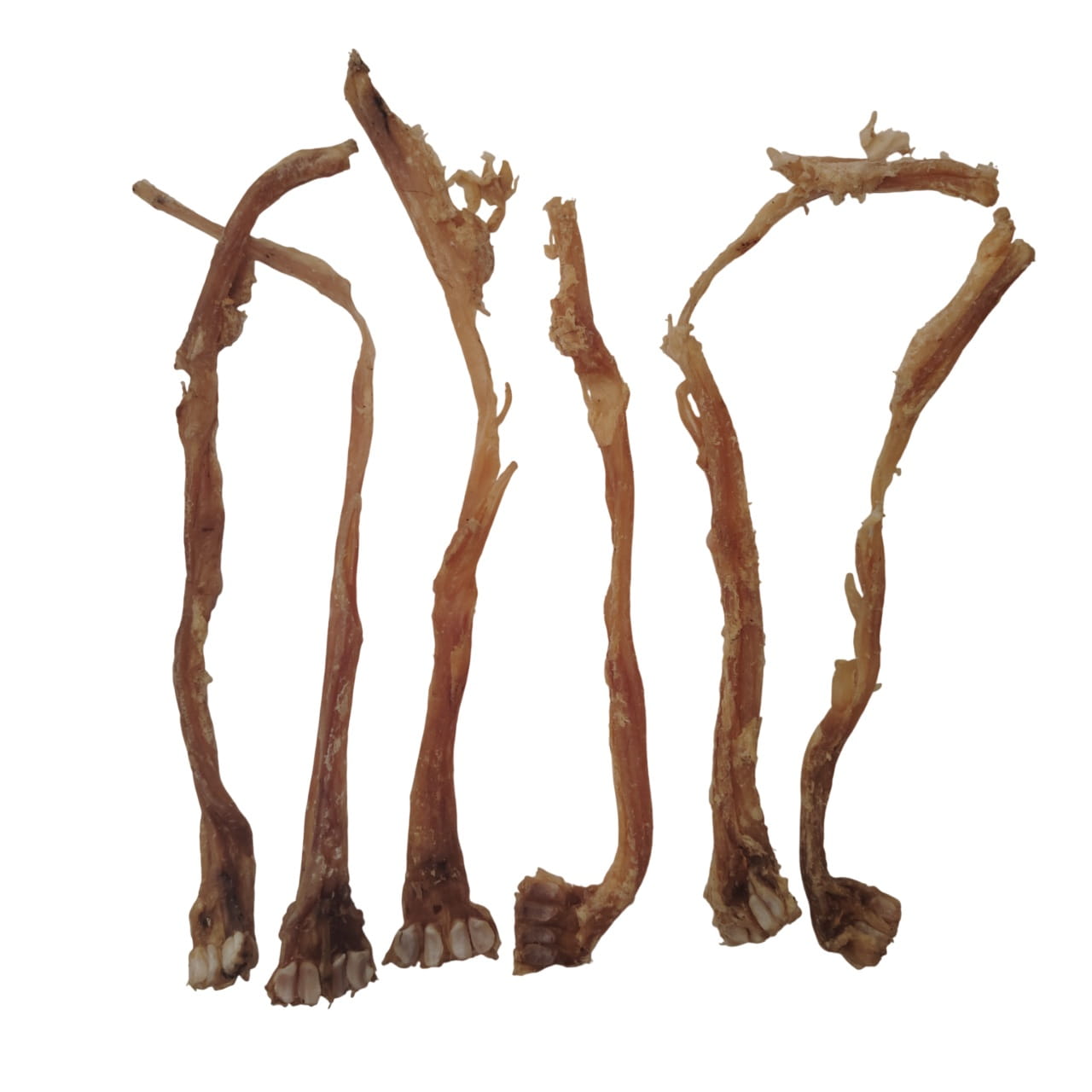 Tendon d'Achille de Chèvre Tendon d'Achille de Chèvre