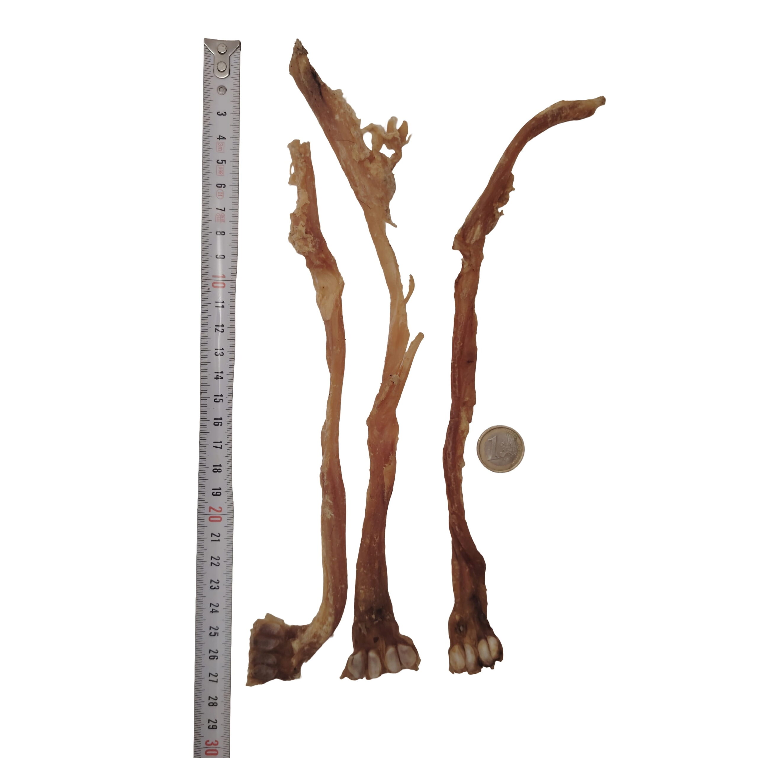 Tendon d'Achille de Chèvre Tendon d'Achille de Chèvre