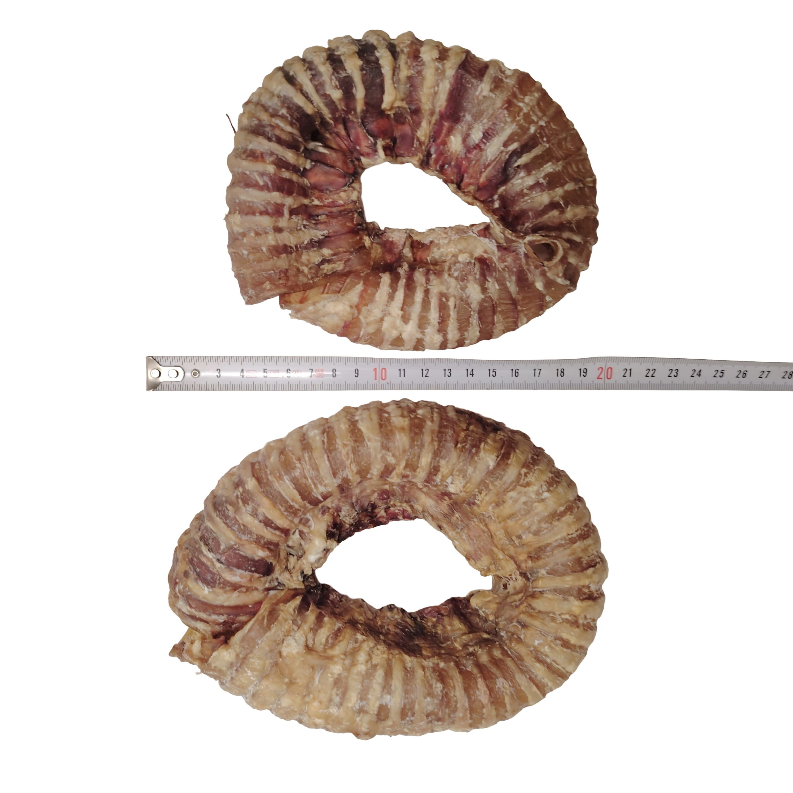 Trachée de Bœuf Donut Trachée de Bœuf Donut