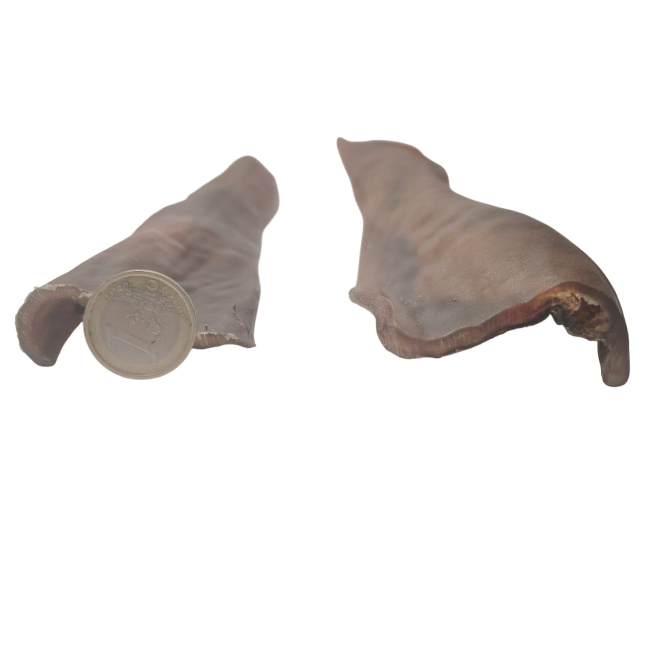 Peau de Chameau 30cm