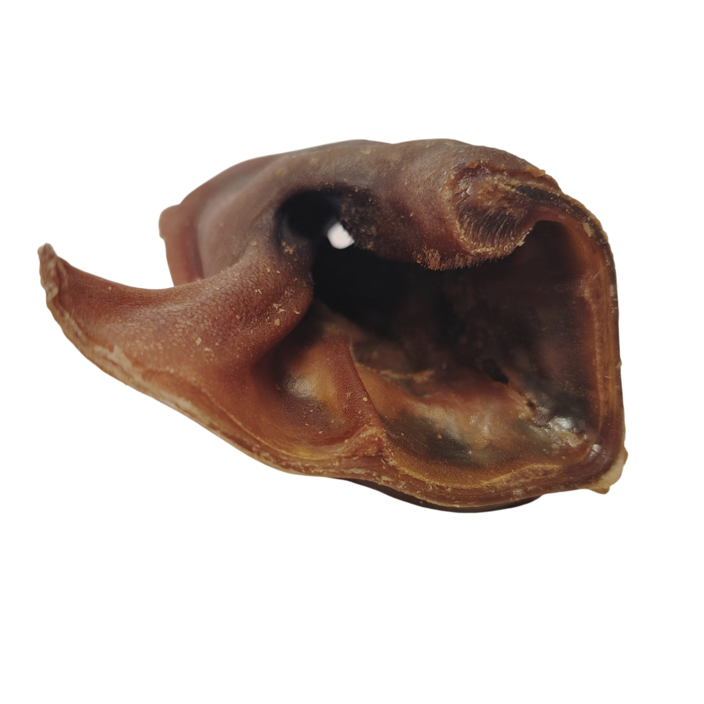 Bouchée d'Oreille de Bœuf