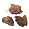 Bouchée d'Oreille de Bœuf