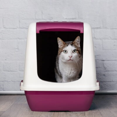 Alternative view of Maison de Toilette Fermée pour Chat avec Filtre Anti-Odeurs et Grille Anti-Dispersion - Petite