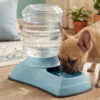 Distributeur d'Eau Bouteille 4L - 2